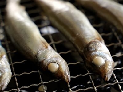 Cá Trứng Chanh và Tiêu 4